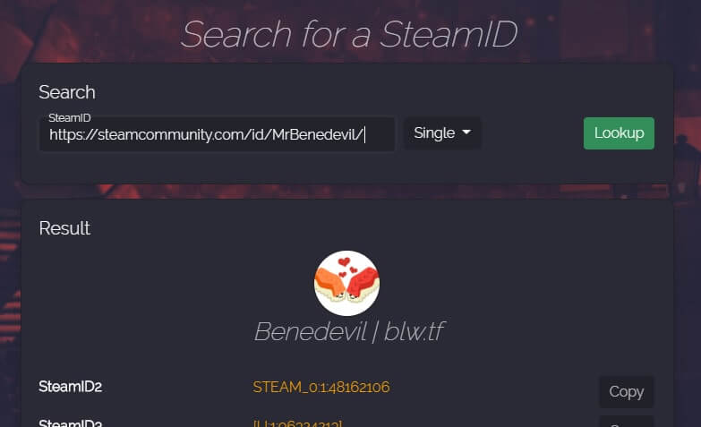 Instruction 3 - How to find your SteamID